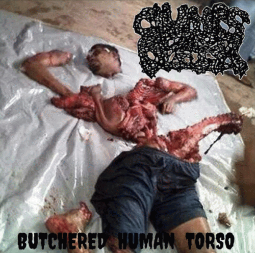 Clumps Of Flesh : Butchered Human Torso